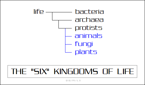 the six kingdoms of life
