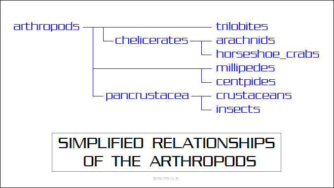 simplified relationships of the arthropods