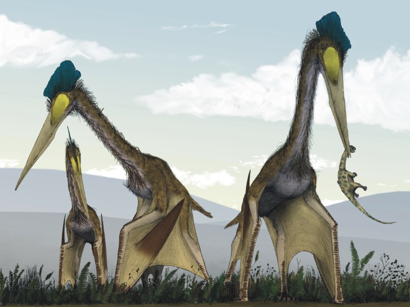 azhdarchid pterosaurs