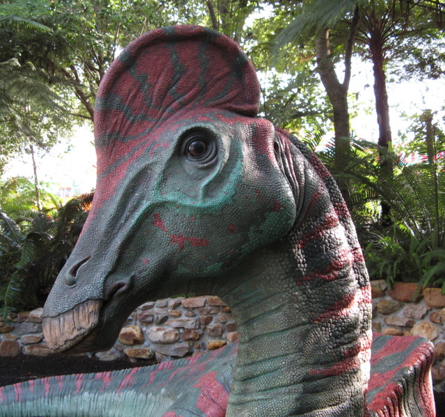 hadrosaur corythosaurus replica