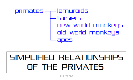 simplified relationships of the primates