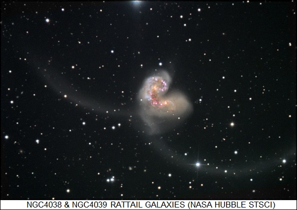 NGC4038 & NGC4039 / rattail galaxies