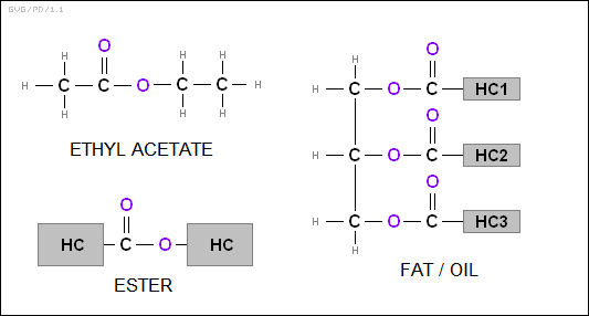 esters, fats & oils