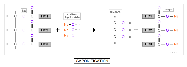 saponification