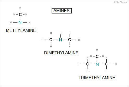 amines