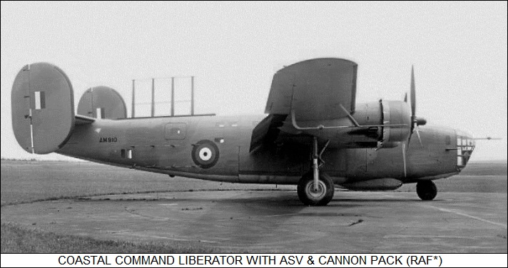 Consolidated Liberator with ASV & cannon tray