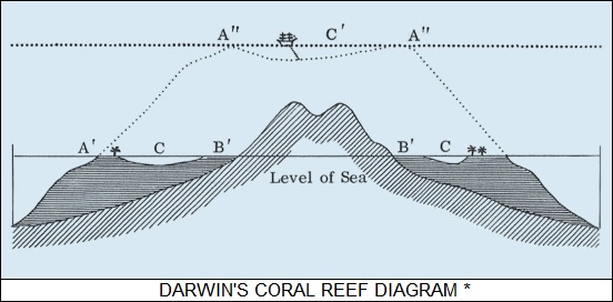 emergence of coral reefs
