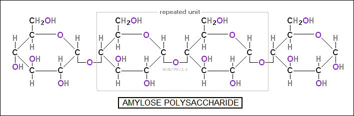 amylose polysaccharide